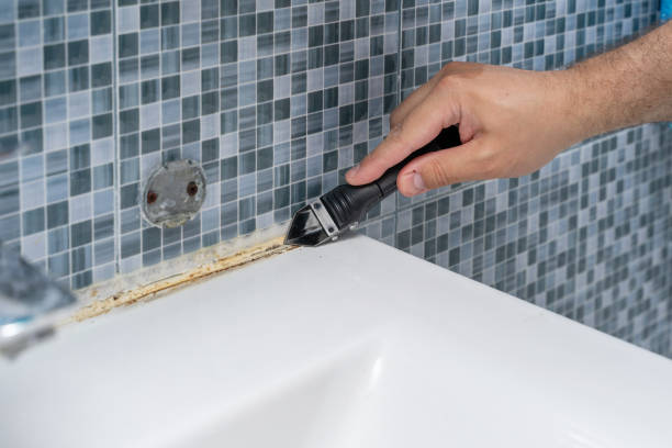 Best Professional Mold Removal  in Rice Lake, MN