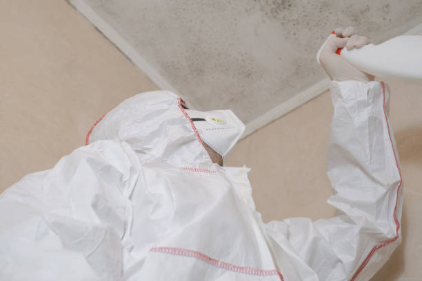 Best Commercial Mold Removal  in Rice Lake, MN